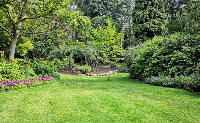 The Hollywood Hotel Cannes Jardin