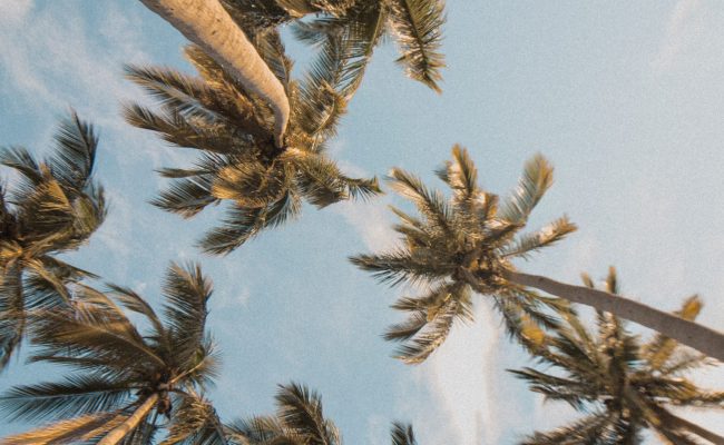 angello-pro-UljbyG2UcVI-unsplash