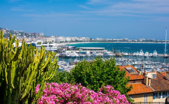 Embankment in Cannes in spring against the blue sky.