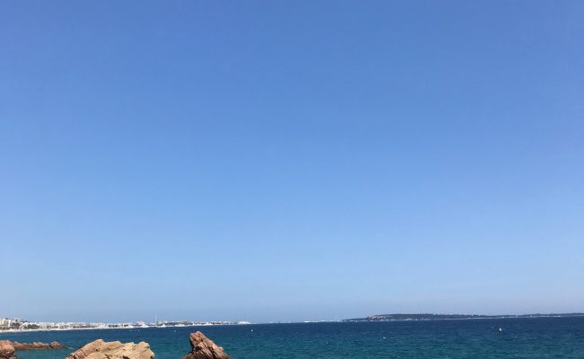 lyle-hastie-iJfkN5bKFnM-unsplash