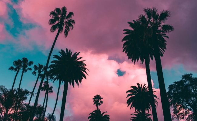 roberto-nickson-wbIw84HTI8w-unsplash